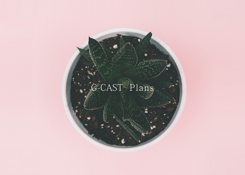 G-CAST Plans